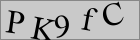 Sicherheitscode