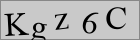 Sicherheitscode