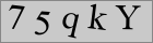 Sicherheitscode