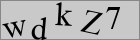 Sicherheitscode